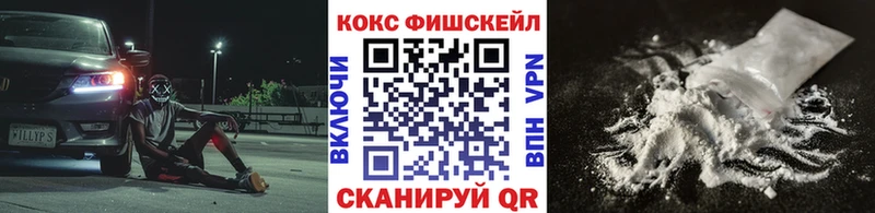 ОМГ ОМГ ССЫЛКА  дарнет шоп  Новоржев  Cocaine Эквадор 