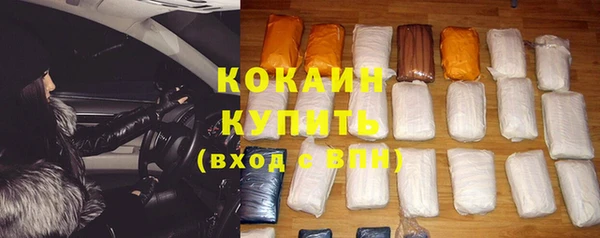 ECSTASY Богородицк