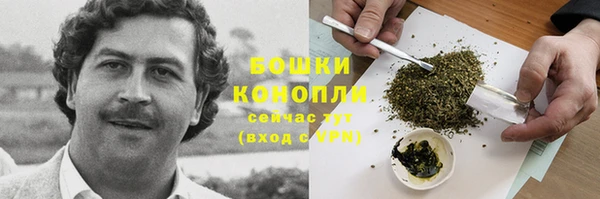 ECSTASY Богородицк
