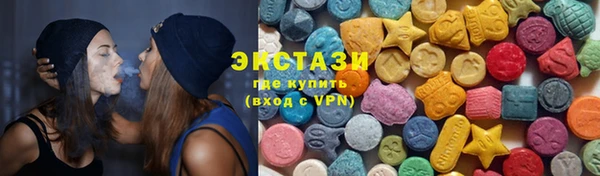 ECSTASY Богородицк
