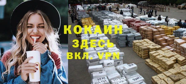 дурь Богданович