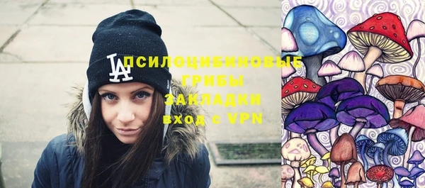 дурь Богданович