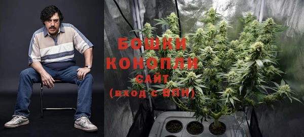 дурь Богданович