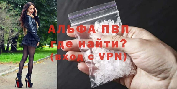 ECSTASY Богородицк