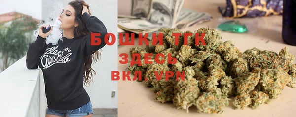 ECSTASY Богородицк