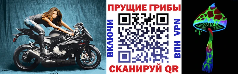 Псилоцибиновые грибы Magic Shrooms  Новоржев 